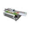 Large Format UV Printer